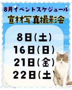 撮影,ドラマ,映画,CM,動物プロダクション,ペットモデル,モデル犬,タレント犬,、モデル猫,タレント猫