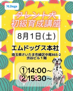 育成講座,撮影,ドラマ,映画,CM,動物プロダクション,ペットモデル,モデル犬,タレント犬,、モデル猫,タレント猫