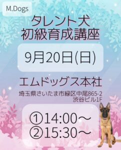 育成講座,撮影,ドラマ,映画,CM,動物プロダクション,ペットモデル,モデル犬,タレント犬,、モデル猫,タレント猫