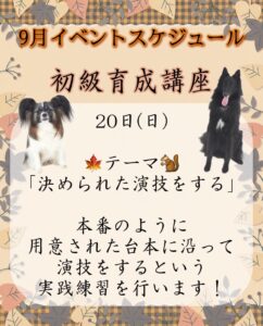 撮影,動物プロダクション,ペットモデル,ペットタレント,モデル猫,タレント猫,イベントスケジュール,講座,レッスン