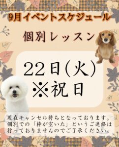 撮影,動物プロダクション,ペットモデル,ペットタレント,モデル猫,タレント猫,イベントスケジュール,講座,レッスン