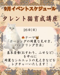 撮影,動物プロダクション,ペットモデル,ペットタレント,モデル猫,タレント猫,イベントスケジュール,講座,レッスン