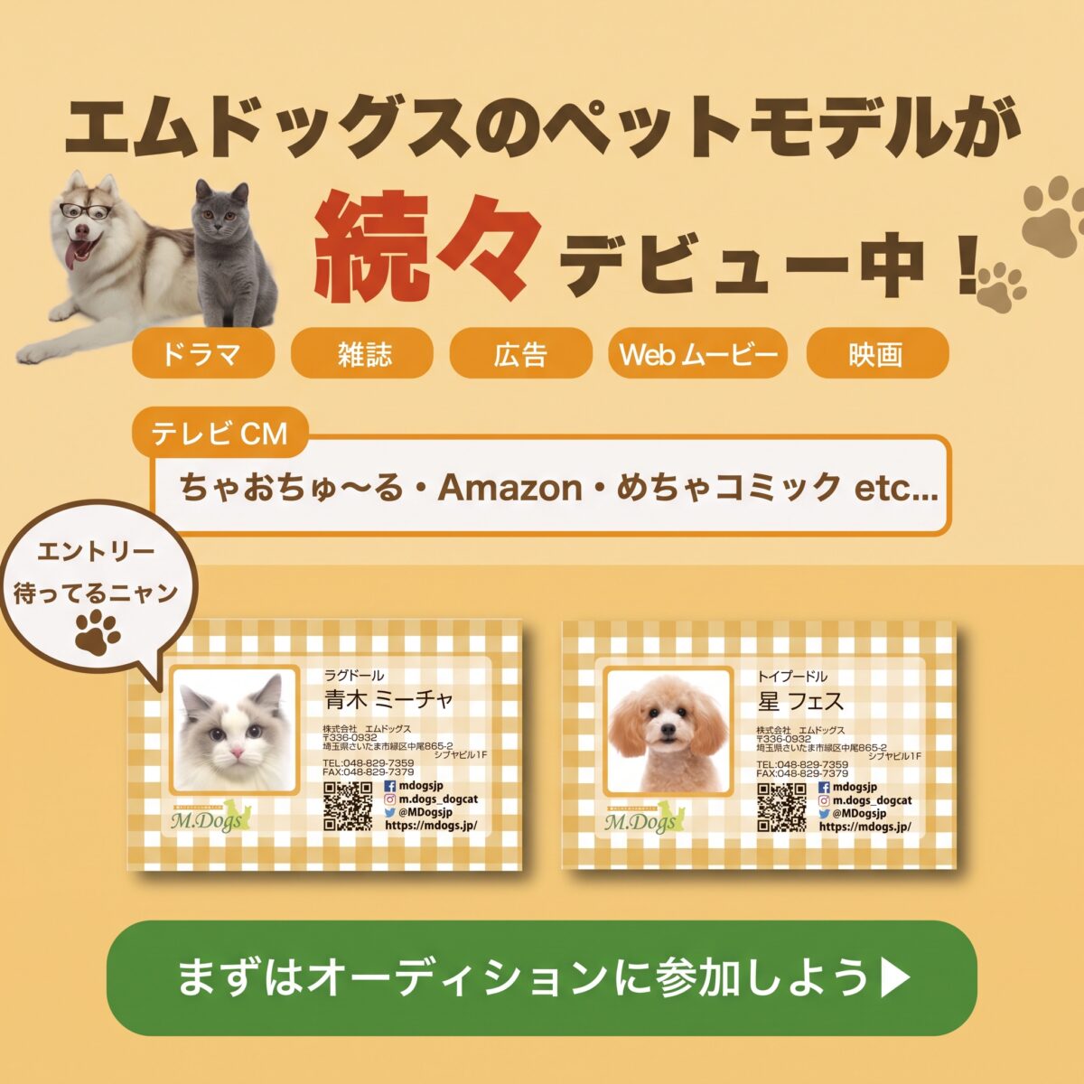 動物プロダクション エムドッグスのペットモデル登録オーディションの参加費用、参加資格などの詳細