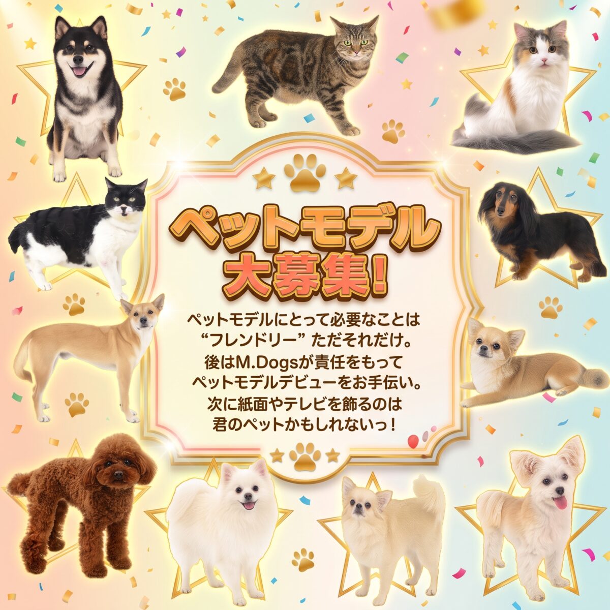 ペットモデル大募集