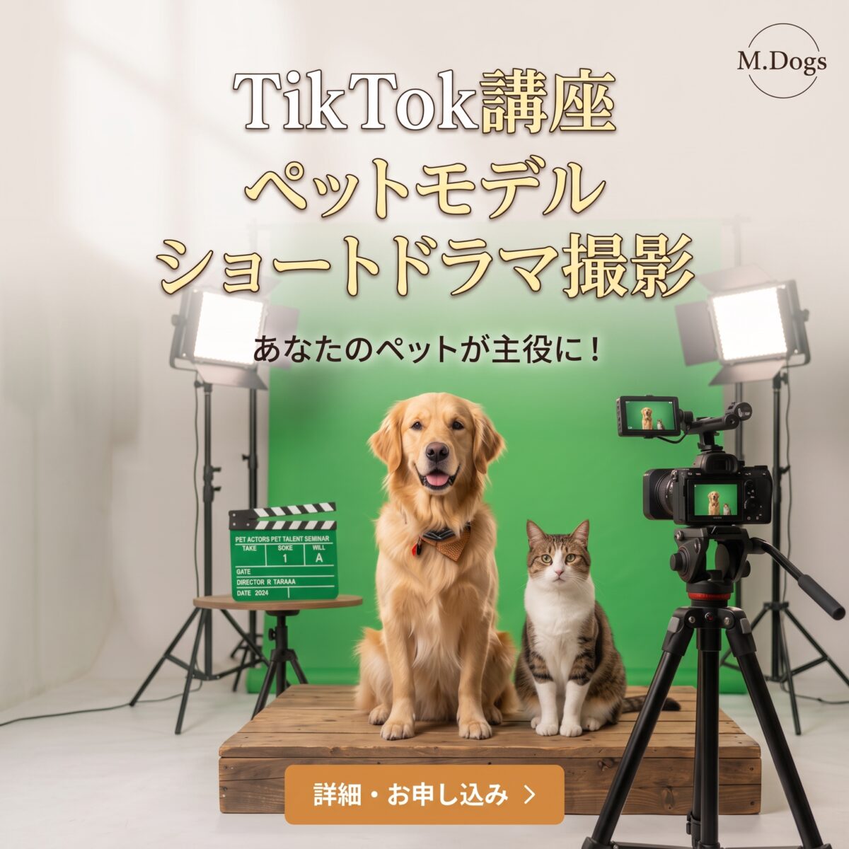 動物プロダクション エムドッグスのティックトック講座詳細