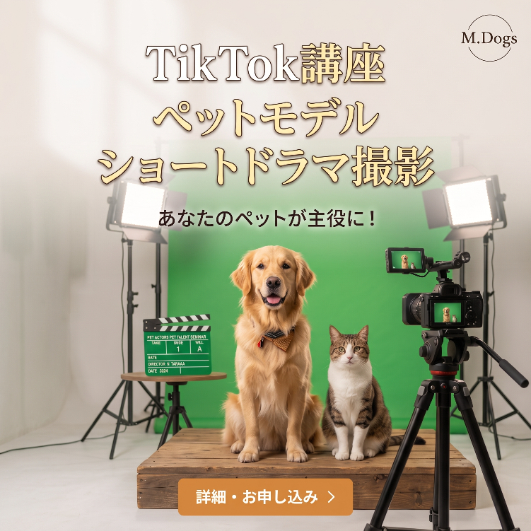 動物プロダクション エムドッグスのティックトック講座詳細