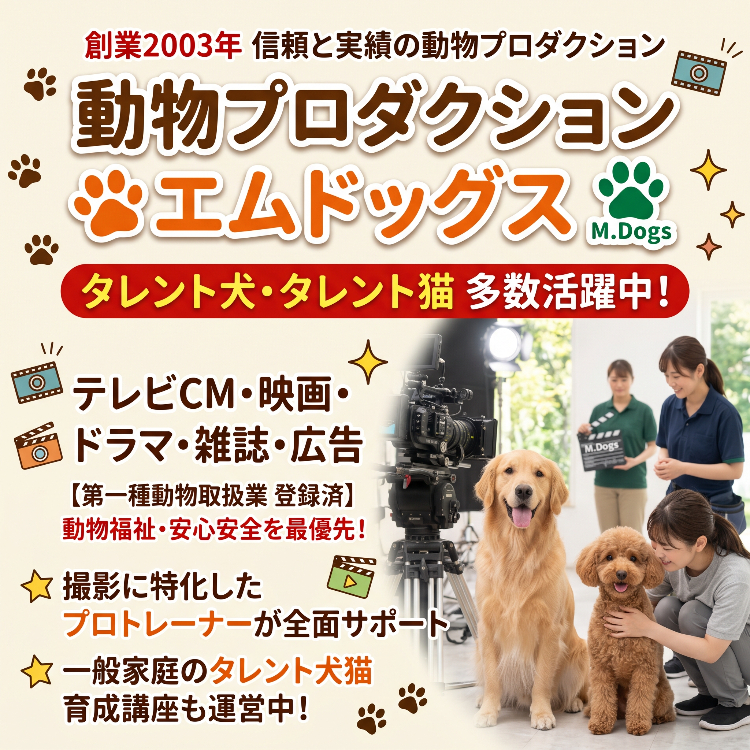 動物プロダクションエムドッグスは動物愛護管理法に基づき第一種動物取扱業認定法人です