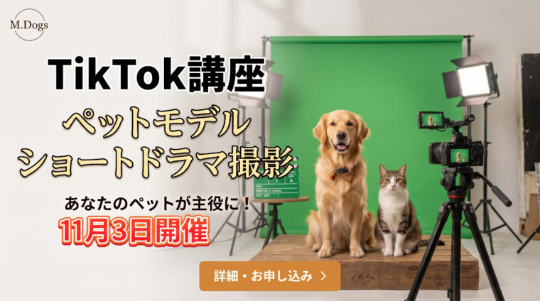 【11月3日開催】ペットモデルを目指す第一歩!「TikTok講座 ムービー撮影模擬レッスン」開催のお知らせ