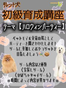 育成講座,撮影,ドラマ,映画,CM,動物プロダクション,ペットモデル,モデル犬,タレント犬,、モデル猫,タレント猫