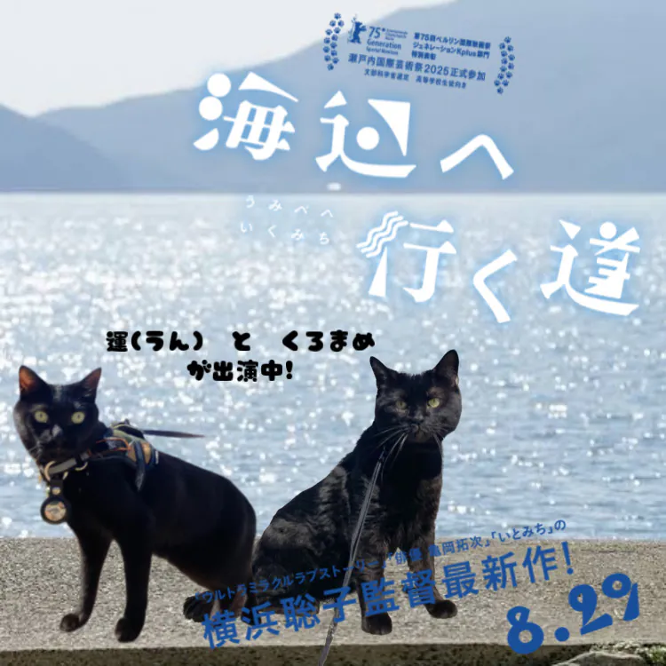 映画 海辺へ行く道　動物プロダクション エムドッグス所属 「くろまめ」「運」が出演しています