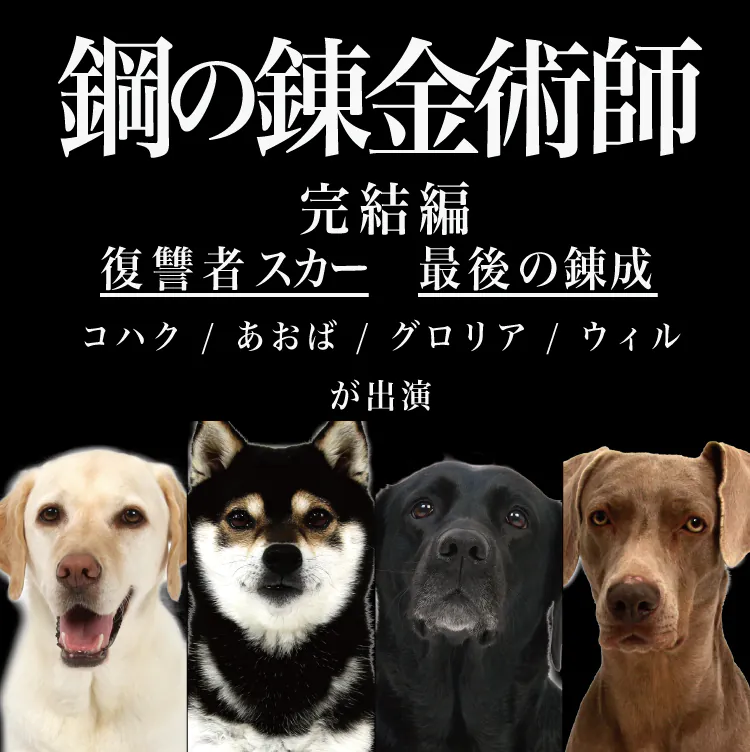 映画「鋼の錬金術師」に、ペットモデル「こはく」「あおば」「ウイル」「グロリア」が出演致しました。