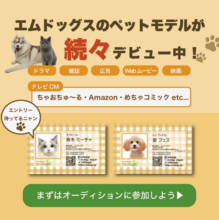 動物プロダクション エムドッグスのペットモデル登録オーディションの参加費用、参加資格などの詳細
