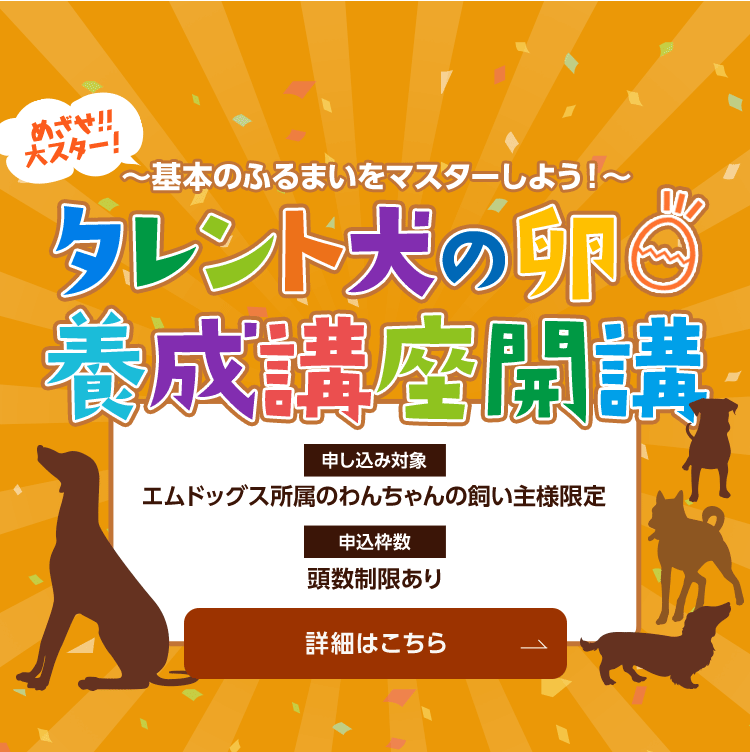 動物プロダクション エムドッグスのタレント犬育成講座