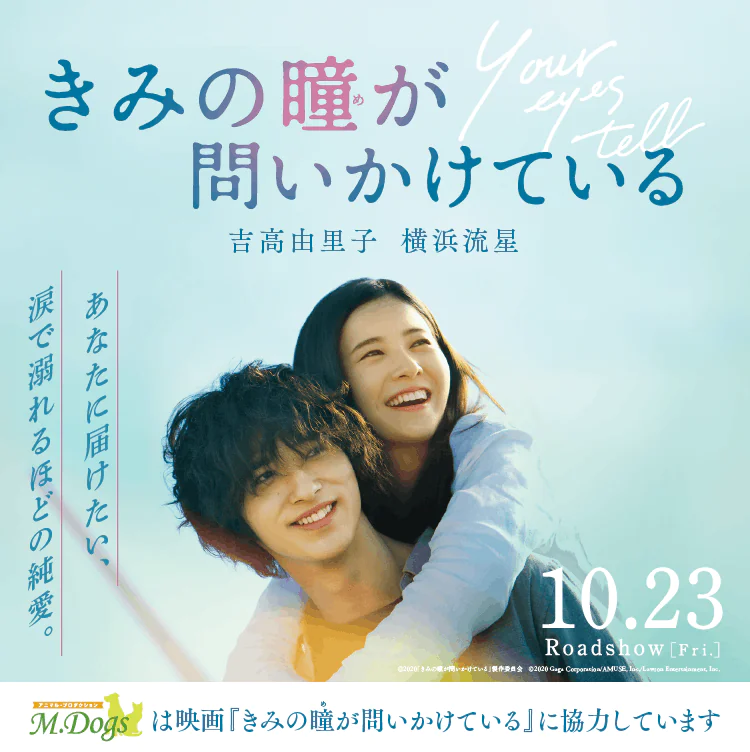 映画 君の瞳が問いかけているに動物プロダクションエムドッグス所属ゴールデンレトリバーのビビが出演しました