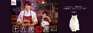 日本テレビ系『十六夜膳房』AI編集×動物撮影の動物プロダクション